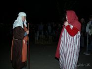 pict6272.jpg