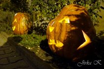 dsc08676.jpg