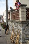 dsc03202.jpg