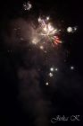 dsc25693.jpg