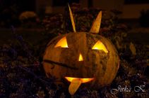 dsc04827.jpg