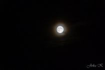 dsc01563.jpg