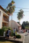 dsc15074.jpg