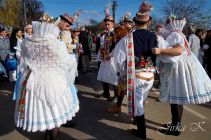 dsc12810.jpg