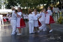 dsc39695.jpg