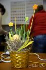dsc11537.jpg
