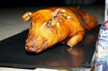 dsc02142.jpg
