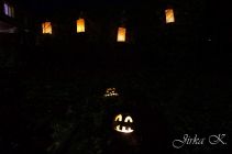dsc08664.jpg