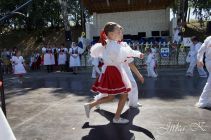 dsc07371.jpg