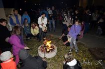 dsc08645.jpg