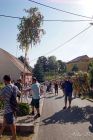 dsc15071.jpg