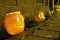 dsc08675.jpg