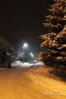 dsc14069.jpg