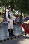 dsc39751.jpg