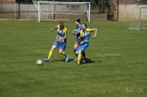 dsc30017.jpg