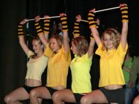 Školní akademie 2008