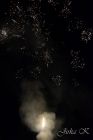 dsc25691.jpg