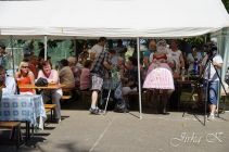 dsc07254.jpg