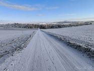 img_20250103_104636.jpg