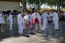 dsc07377.jpg