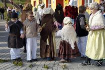 dsc11659.jpg