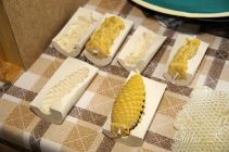 dsc07669.jpg