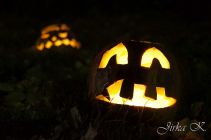 dsc08663.jpg