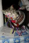 hody_3_027.jpg