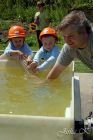 dsc14528.jpg