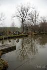 dsc37101.jpg