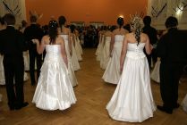 ples_2011_395.jpg