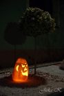 dsc12662.jpg