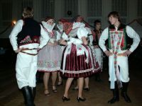 Ples mikroregionu Ždánicko (12. 1. 2008)