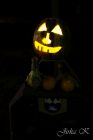 dsc04811.jpg