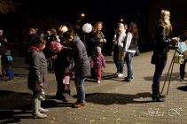dsc08654.jpg