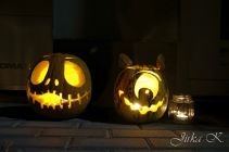 dsc25736.jpg