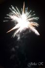 dsc08637.jpg