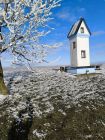 img_20250103_103313.jpg