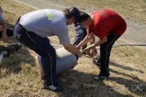 dsc07816.jpg