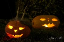 dsc12623.jpg