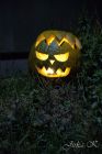 dsc25739.jpg