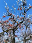 img_20250103_105226.jpg