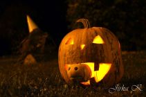 dsc04831.jpg