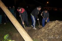 dsc08850.jpg