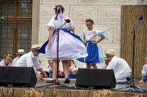 dsc24805.jpg