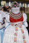 dsc38624.jpg