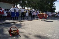 dsc39720.jpg