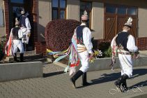 dsc08912.jpg