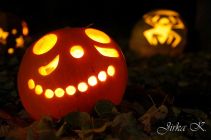 dsc08661.jpg