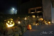 dsc25734.jpg
